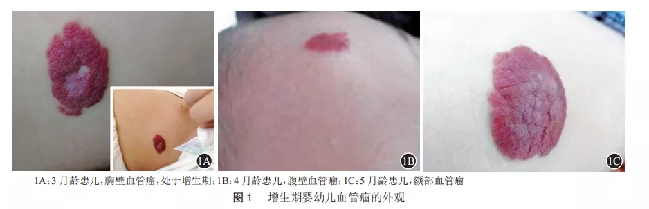1.webp (1).jpg