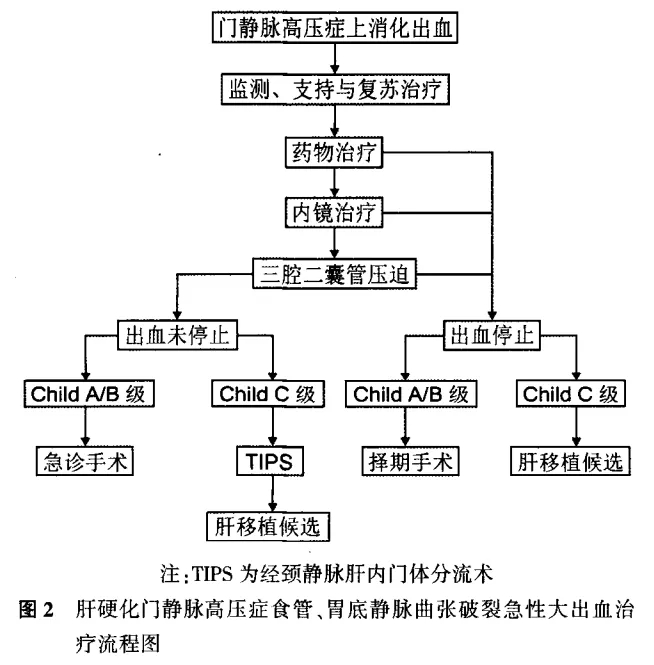 图2.webp.jpg