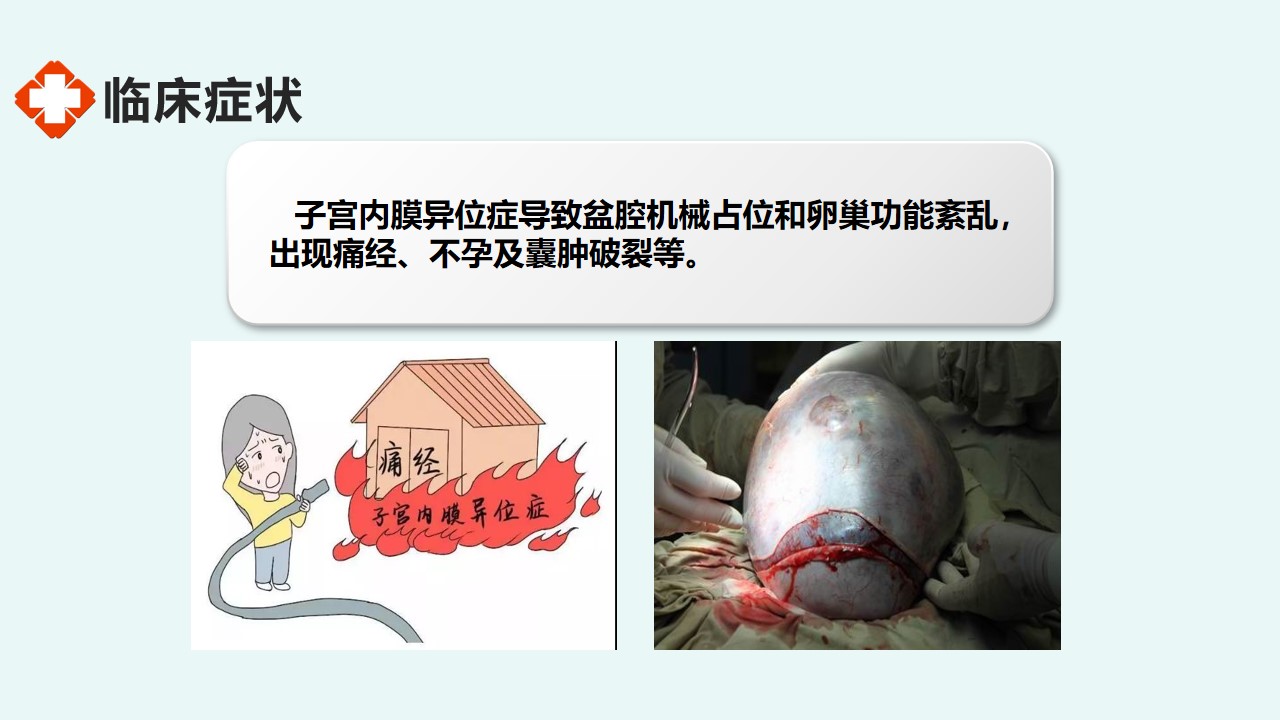 幻灯片9.jpg