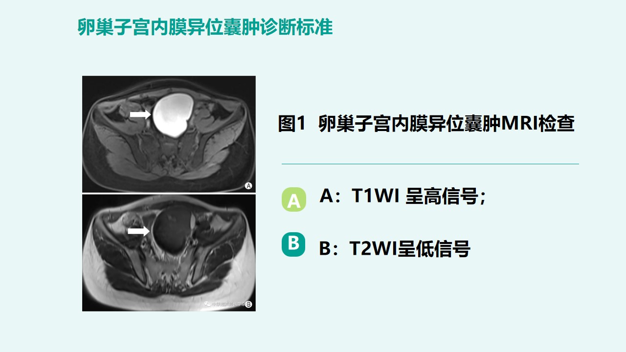 幻灯片12.jpg