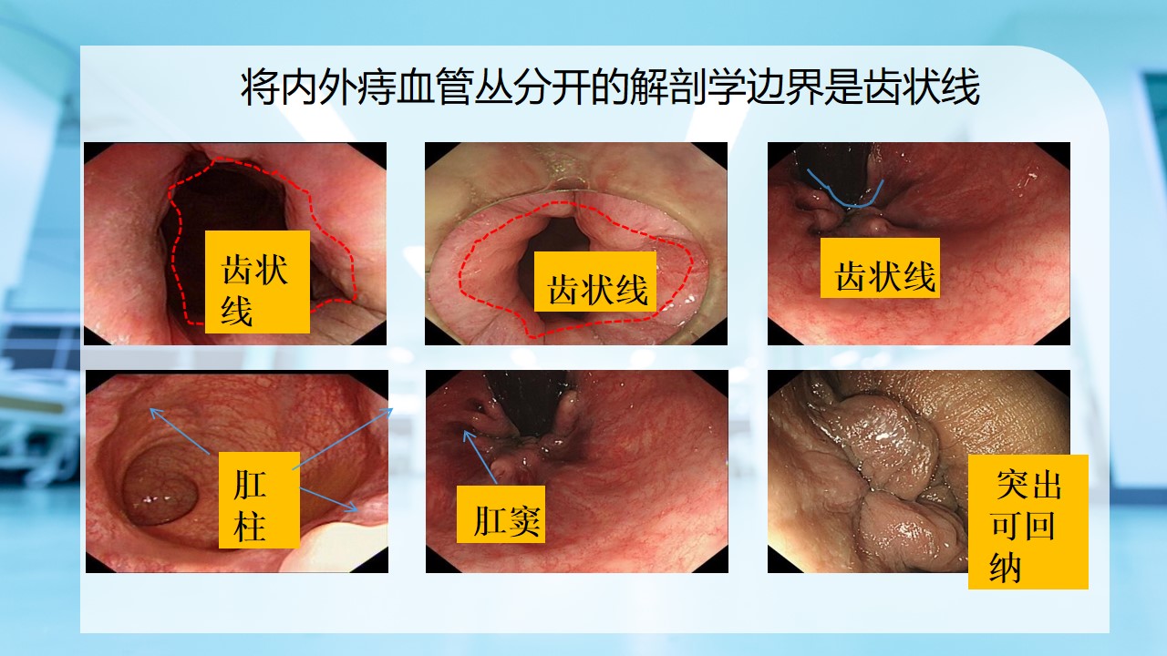 幻灯片9.jpg
