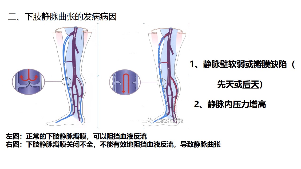 幻灯片21.jpg