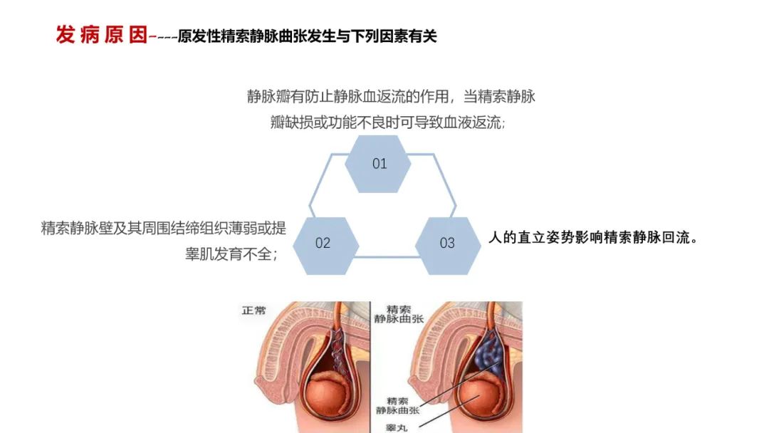 微信图片_20220609090355.jpg
