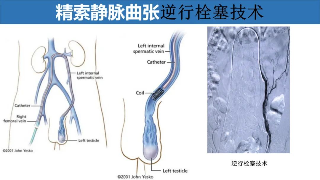 微信图片_20220609090419.jpg