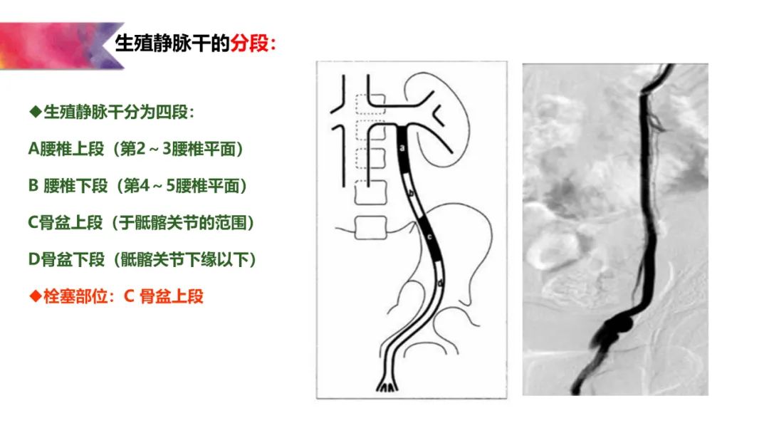 微信图片_20220609101341.jpg